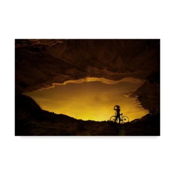 Pink Sword 'The Nomad' Canvas Art, 22x32, Trademark Fine Art, Mfr#: 1X05161-C2232GG
